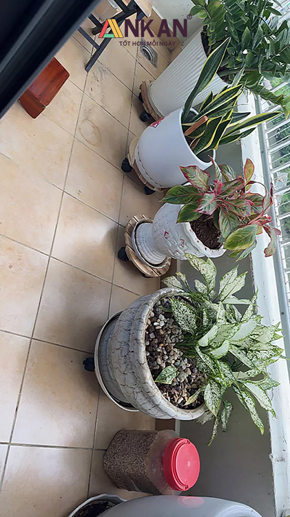 Đế Lót Chậu Cây Có Bánh Xe Màu Vàng D30cm 14 de lot 18