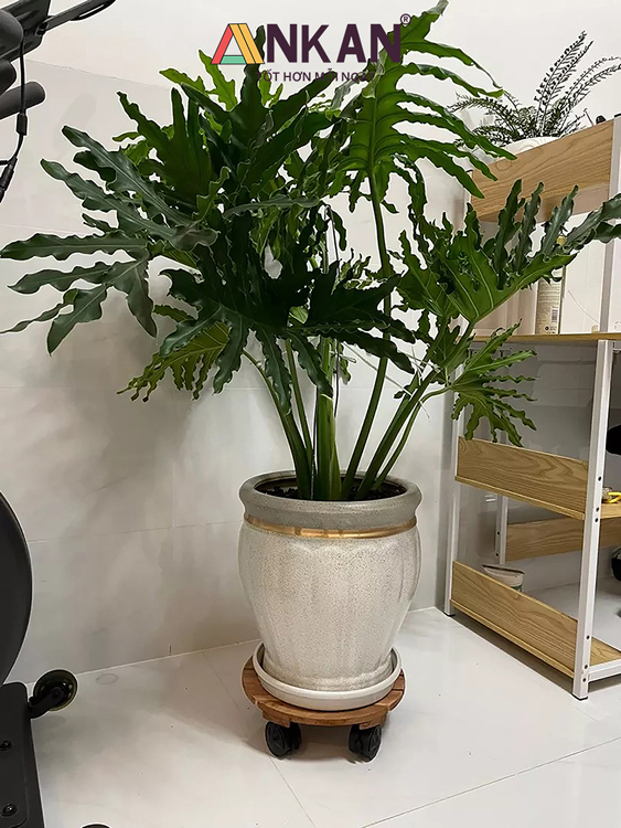 Đế Lót Chậu Cây Có Bánh Xe Màu Vàng D30cm 13 de lot 23