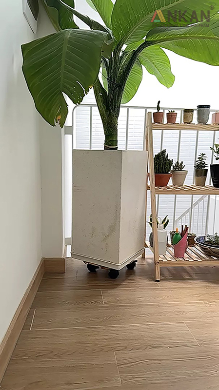 Đế Lót Chậu Cây Có Bánh Xe Màu Vàng D30cm 10 de lot chau cay 20