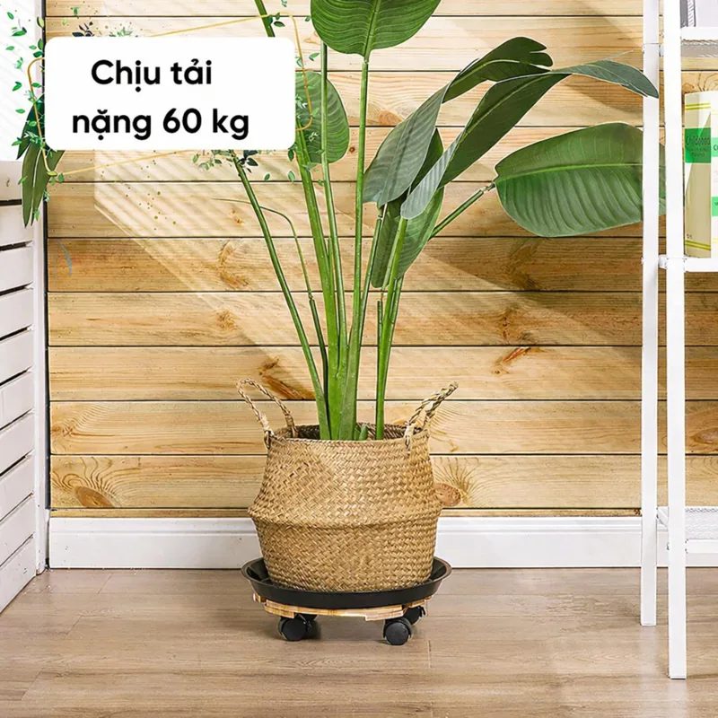 Đế Lót Chậu Cây Có Bánh Xe Màu Vàng D30cm - Ảnh 6