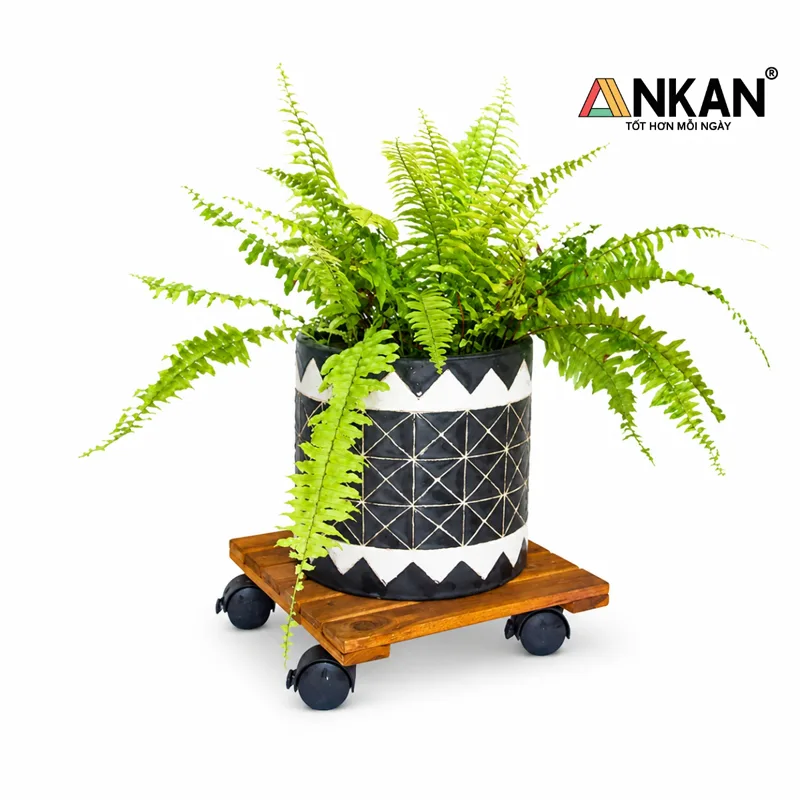 kệ để chậu cây có bánh xe