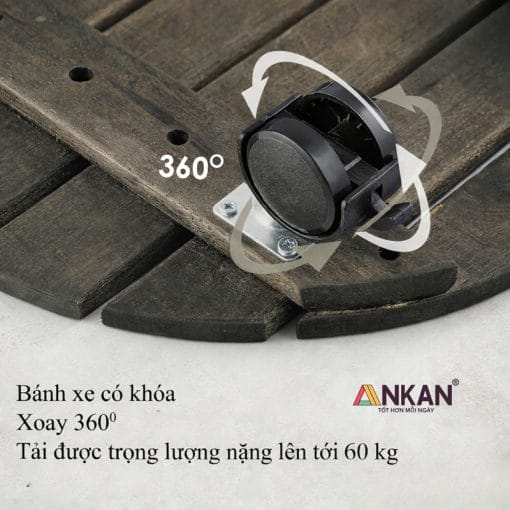 Đế Lót Chậu Cây Cảnh Màu Đen - Tròn 30cm - Ảnh 5