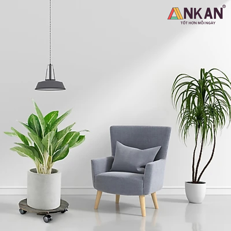 Đế Lót Chậu Cây Cảnh Màu Đen - Tròn 30cm 11 de lot chau cay tron den 30cm 10