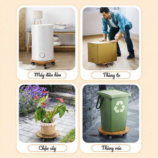 Đế chậu cây cảnh