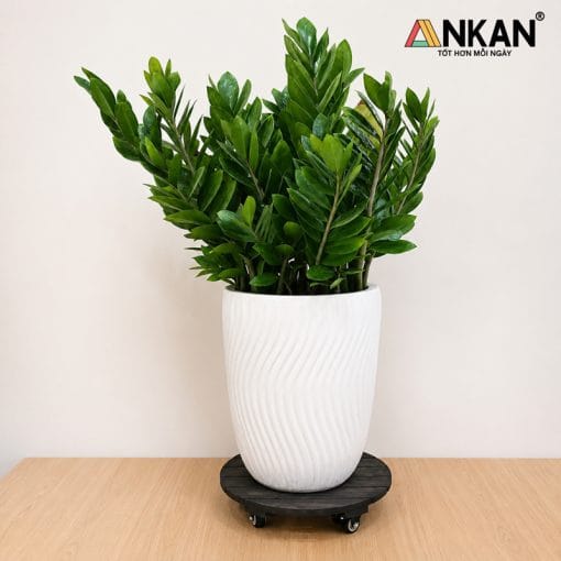 Đế Bánh Xe Di Chuyển Chậu Cây Màu Đen, Tải 120Kg 8 de lot chau cay 10 2