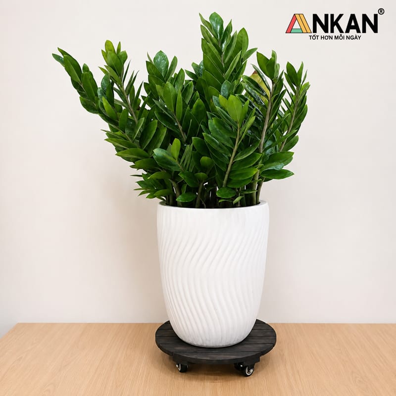 Đế Bánh Xe Di Chuyển Chậu Cây Màu Đen, Tải 120Kg 15 de lot chau cay 10 2