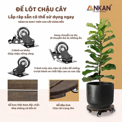Đế lót chậu cây