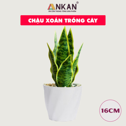 Chậu nhựa xoắn