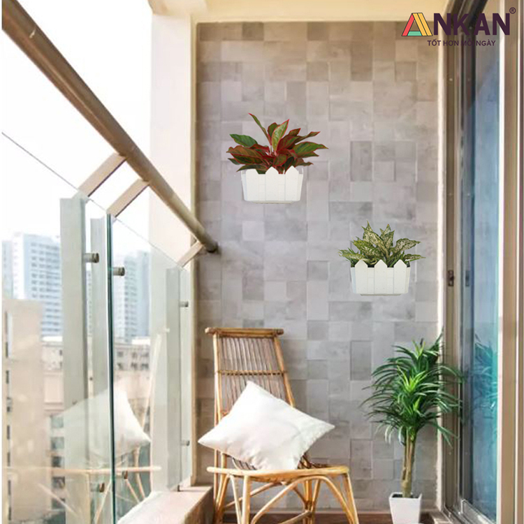 Chậu Nhựa Trồng Cây Thông Minh Treo Tường 10 chau cay treo hang rao mau trang 1