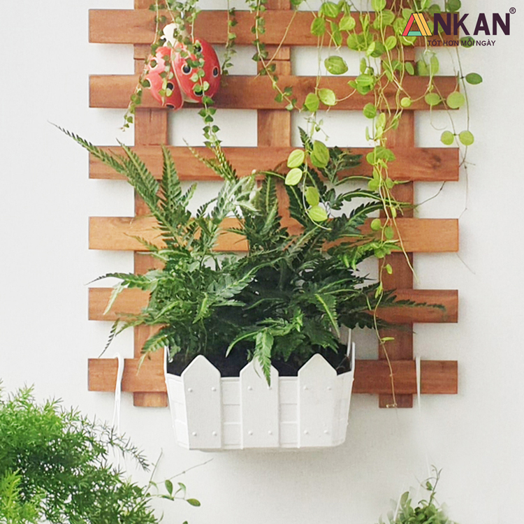 Chậu Nhựa Trồng Cây Thông Minh Treo Tường 11 chậu nhựa trồng cây