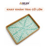 khay kham trai lon 16