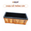 Chậu gỗ trồng cây