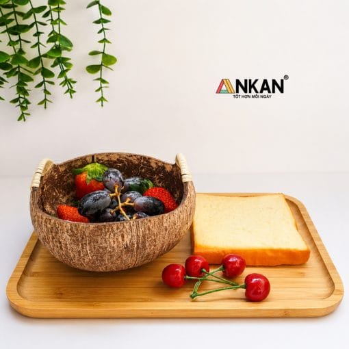 khay gáo dừa tự nhiên