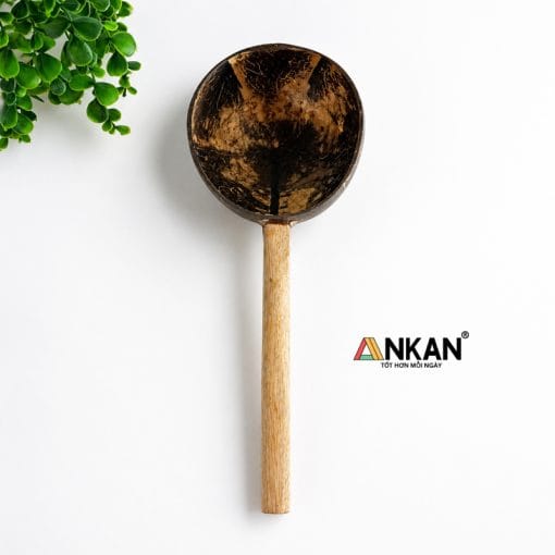Mui Gáo Dừa Cán Gỗ