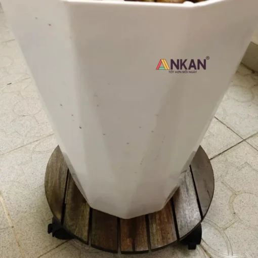 Đế Chậu Cây Tròn Đen 35cm – Tải 60kg - ảnh thực tế 6