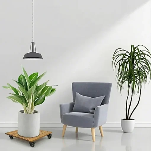 Đế Chậu Cây Vuông Vàng 50cm – Tải 120kg - ảnh thực tế 1