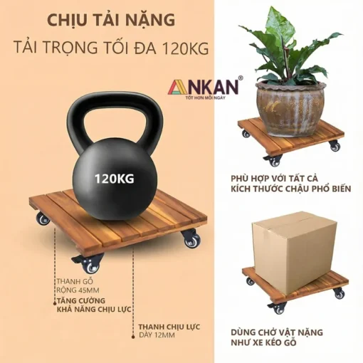 Đế Chậu Cây Vuông Vàng 50cm – Tải 120kg - ảnh thực tế 6