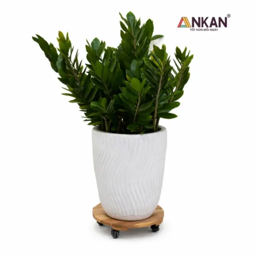 Đế Chậu Cây Tròn Vàng 30cm – Tải 120kg - ảnh thực tế 4