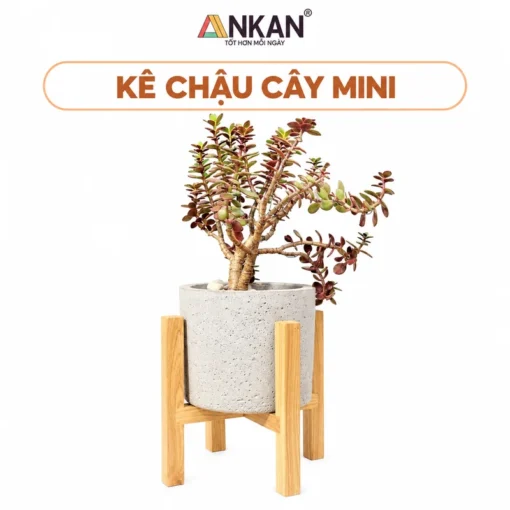 Kê Chậu Cây Mini Gỗ Tràm 20cm nền trắng, logo ANKAN