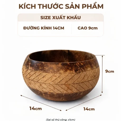 Bát Gáo Dừa Khắc Lá Cọ Kèm Muỗng ANKAN - ảnh thực tế 1