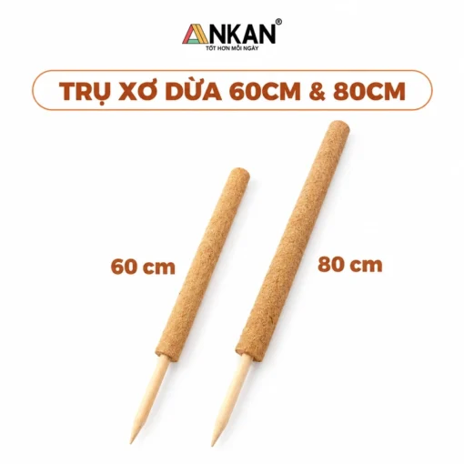 Trụ xơ dừa ANKAN 60 cm và 80 cm trên nền trắng