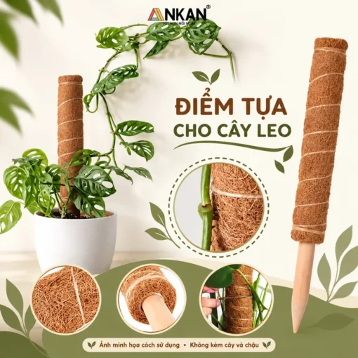trụ xơ dừa - ảnh sản phẩm 4