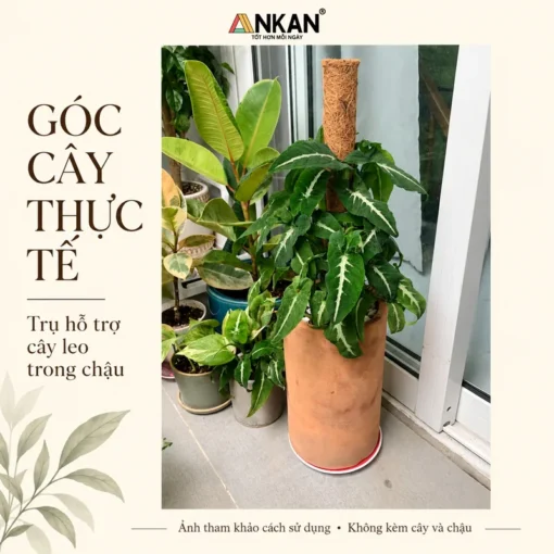 trụ xơ dừa - ảnh sản phẩm 7